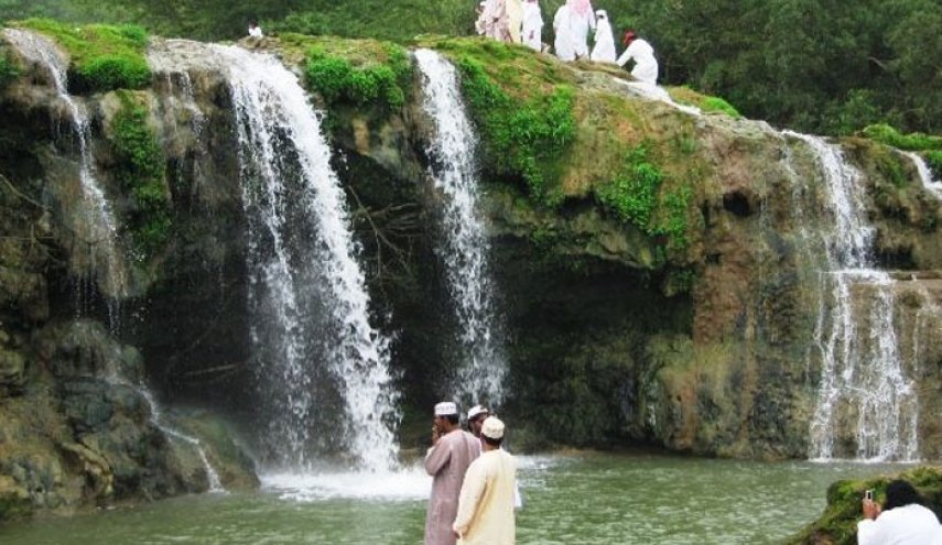 شاهد/ العثور على حيوان 