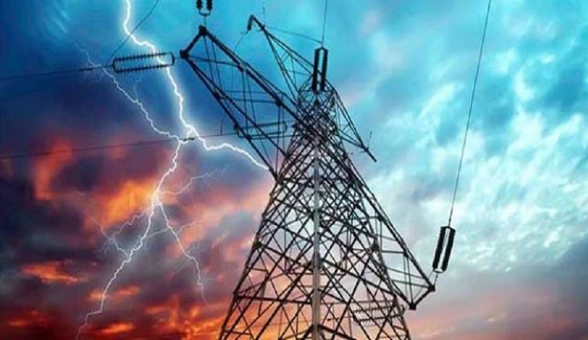بالصور...العثور على حيوان منتج لأعلى شحنة كهربائية على وجه الأرض!