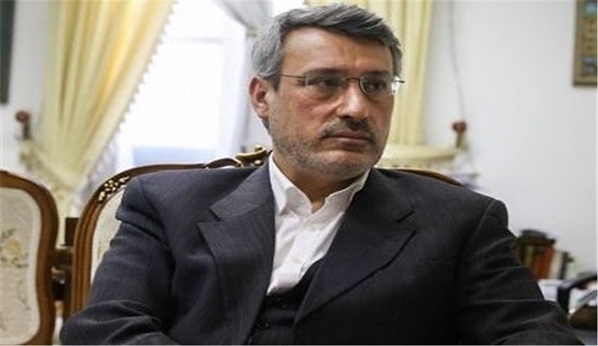 بعيدي نجاد يؤکد ضرورة تجنب اصدار حكم متسرع حول سقوط الطائرة الاوكرانية