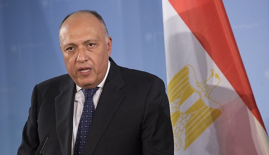 الخارجية المصرية للأكراد السوريين: مقاومة العدوان التركي حق شرعي