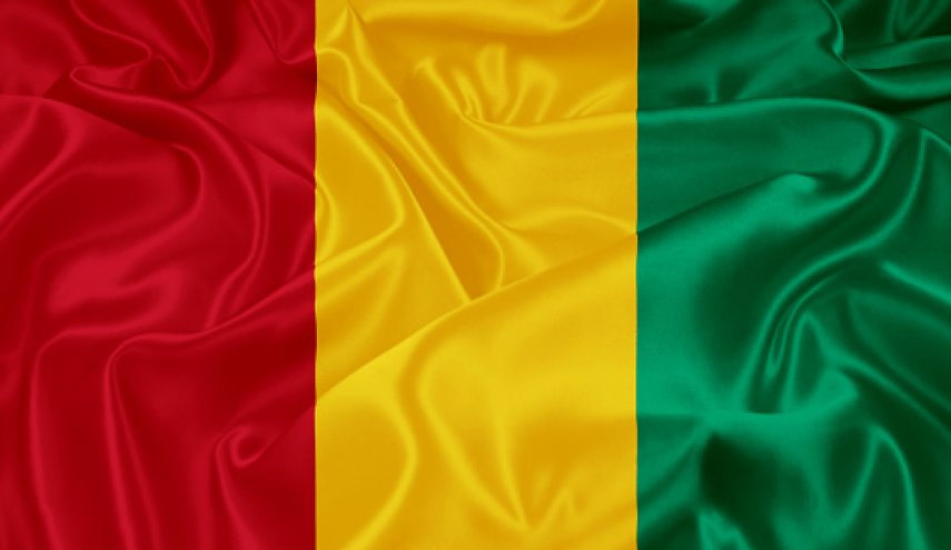 القبض على ناشطين معارضين في غينيا 