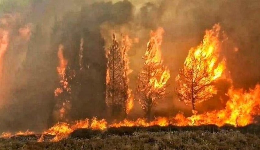 بالصورة... موقف سوري خلال حرائق لبنان يشعل مواقع التواصل