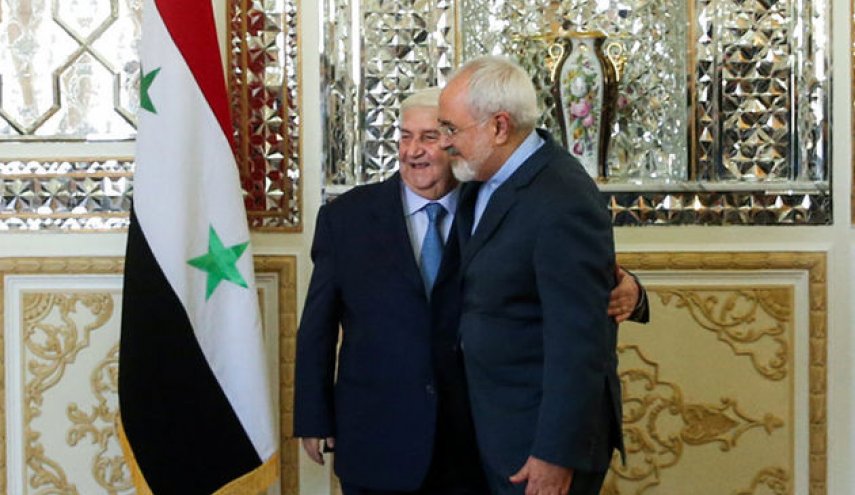 ظريف: باقون في سوريا طالما احتاجت دمشق
