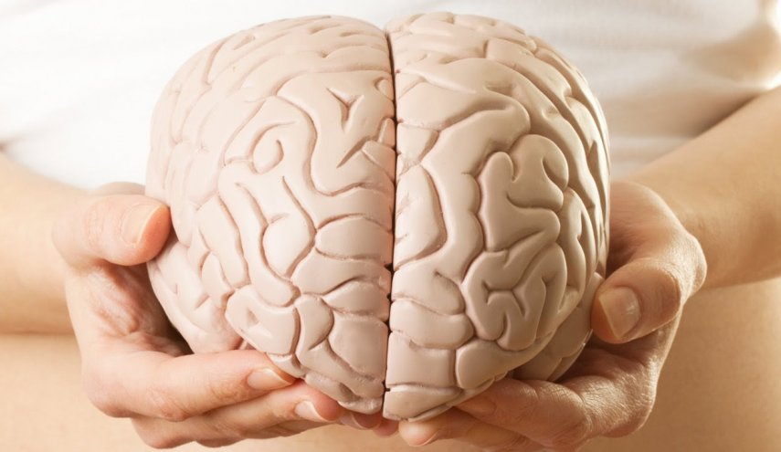 ألعاب تدريب الدماغ تساعدنا على التخلص من الوزن الزائد