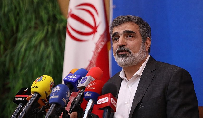 كمالوندي: وصول 38 طنا من الوقود النووي إلی محطة بوشهر 