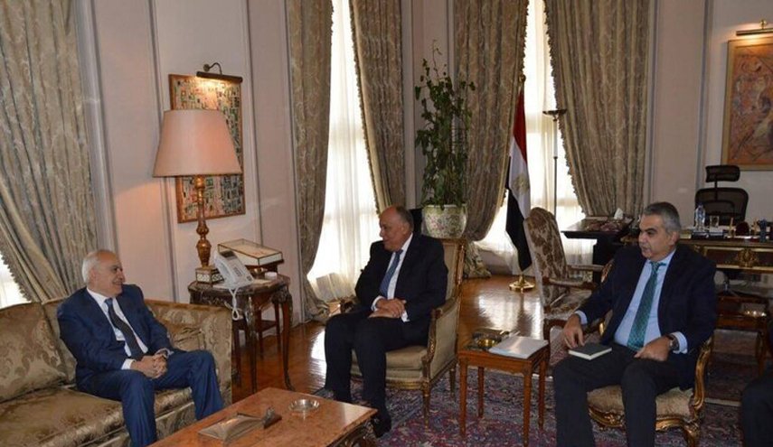 شكري وسلامة يبحثان التحضيرات لعقد مؤتمر برلين حول ليبيا