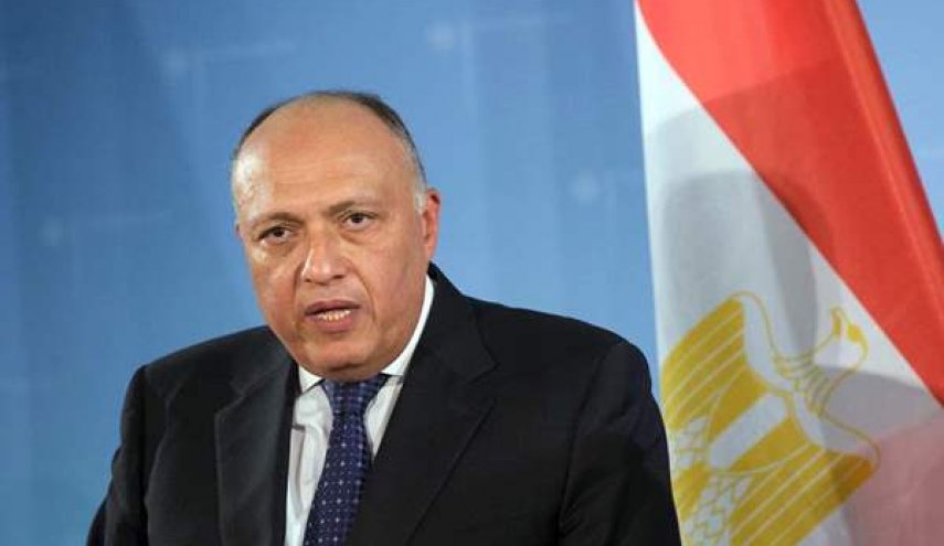 مصر تعلق على عمل اللجنة الدستورية السورية
