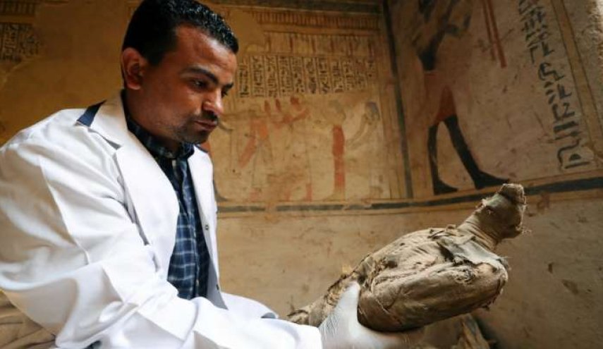 مصر.. علماء يحلون لغز الطيور المحنطة في مقابر الفراعنة
