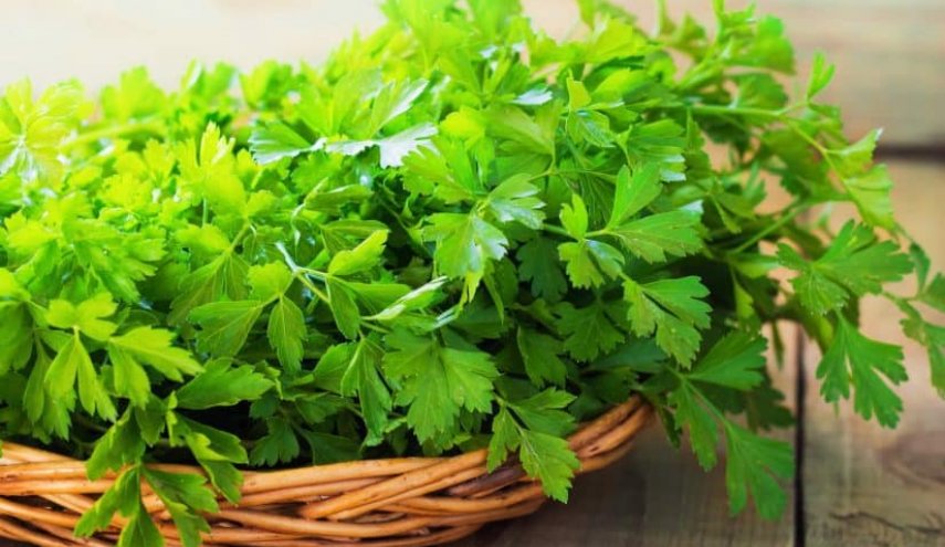 5 فوائد صحية مذهلة للبقدونس