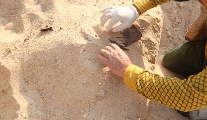 بالصور..العثور على مقبرتين لضحايا الانتفاضة الشعبانية بالعراق
