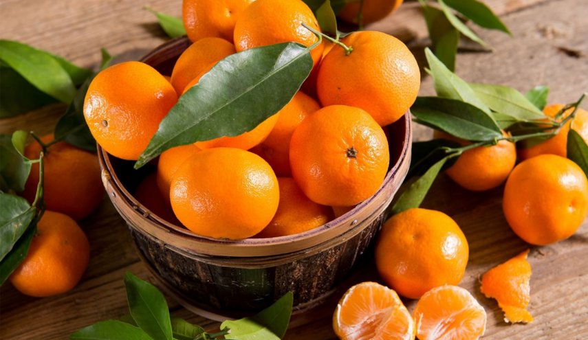 اليوسفي مفتاح الصحة والجمال.. اليكم التفاصيل 