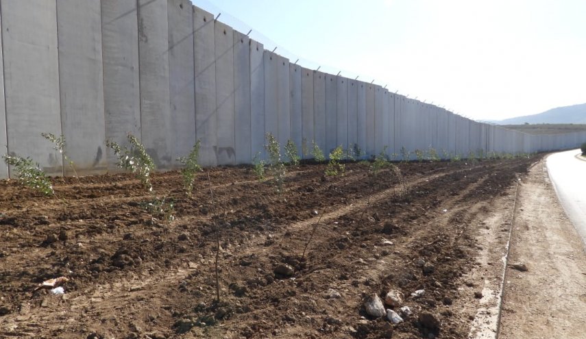 بالصور.. حملة تشجير قرب حدود لبنان مع الاراضي المحتلة