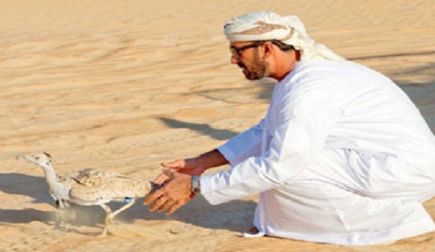 بن زايد في باكستان لصيد الطيور المحمية دوليا