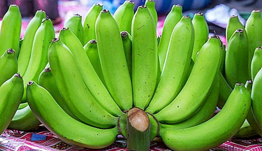 منها تناول الموز الأخضر.. 9 نصائح تساعد على إطالة عمرك