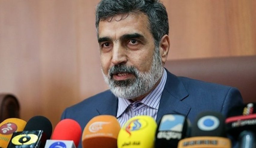 الطاقة الذرية الايرانية تعلق على حظر اميركا ضد رئيسها