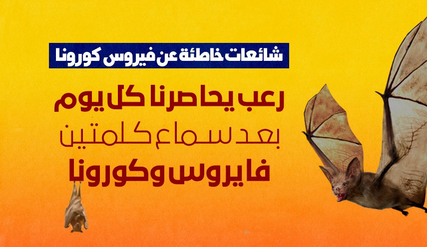 رعب يحاصرنا كل يوم بعد سماع كلمتين.. فايروس.. وكورونا