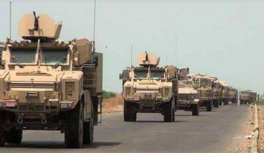 صحيفة: الإمارات أرسلت 'درجات هوائية' بدل المدرعات الى مالي
