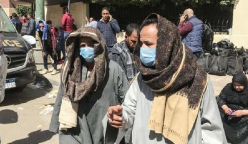 مصر توقف تصدير جميع أنواع البقوليات لمدة 3 أشهر بسبب كورونا