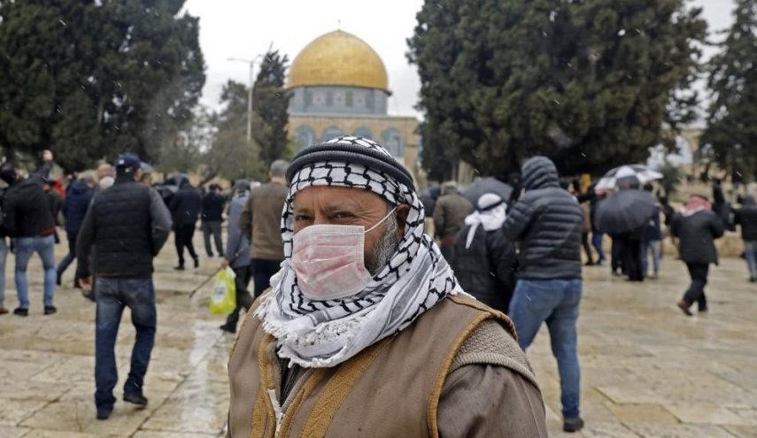 تسجيل 290 إصابة مؤكدة بكورونا في فلسطين المحتلة