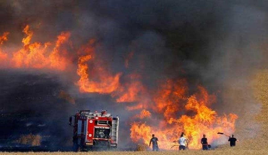 شاهد.. حرائق واسعة تلتهم مساحات كبيرة لجبال شمال العراق 