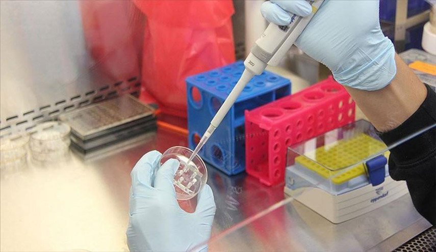 مصر.. اجراء فحص كورونا في جميع المستشفيات العامة