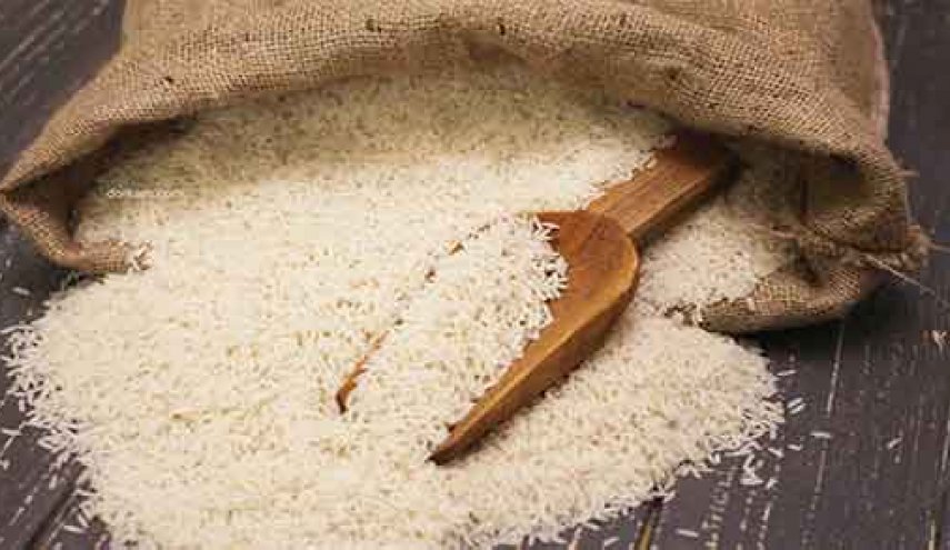 لاول مرة في سوريا.. زراعة الأرز الهوائي في طرطوس