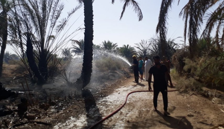 بالصور..اخماد حريق هائل ببساتين كربلاء بعد جهود مضنية طيلة 8 ساعات