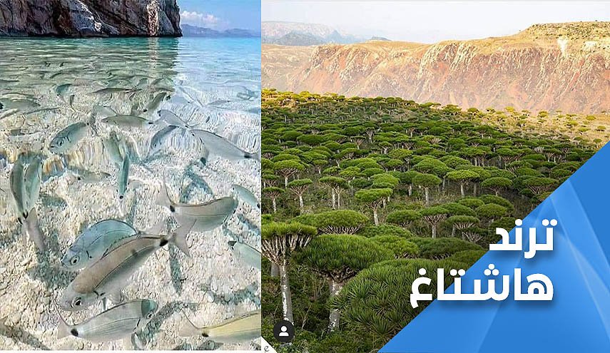 يمنيون ضد احتلال سعودي بالمهره..