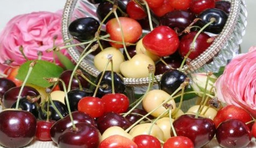 تحذير.. تجنبوا تناول الأطفال ثمار الكرز؟