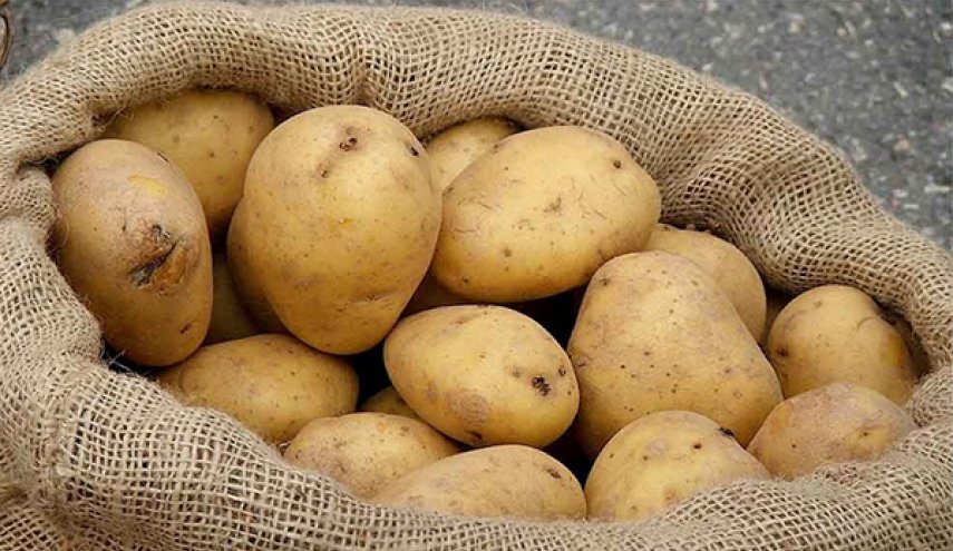 بطاطس متحولة تخيف فتاة فرنسية بعد عودتها من الحجر الصحي + صور