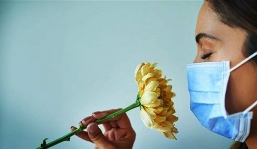 هل تعيد حاسة الشم او الذوق بعد الشفاء من كورونا؟