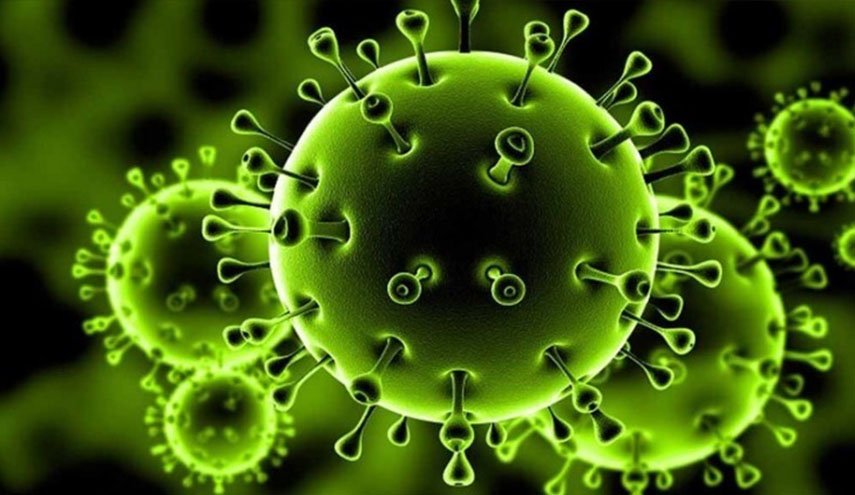 أحدث المعلومات عن تطور فيروس 