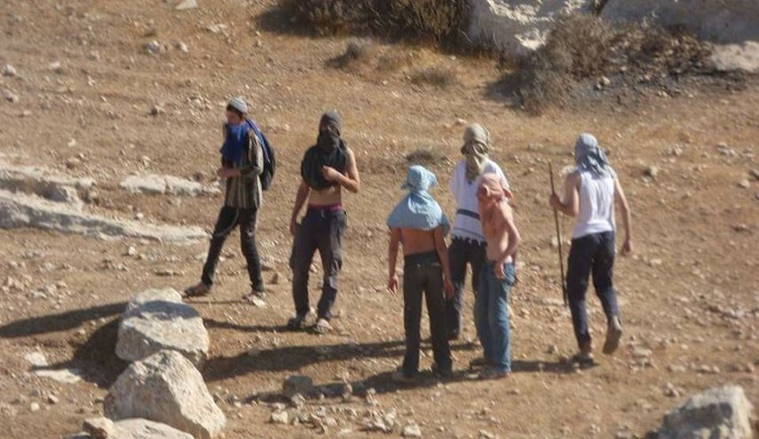 مستوطنون يقتلعون أشجار الزيتون ويسرقون معدات زراعية جنوب نابلس