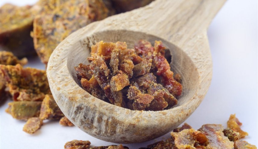 فوائد سحرية للعكبر تساعد على محاربة الكورونا