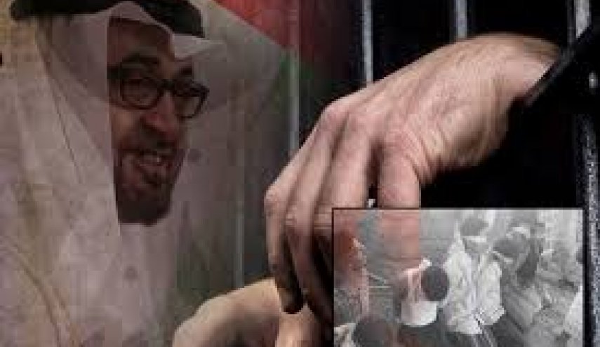 فرنسا تُفجّر قنبلة صوتية بوجه إبن زايد