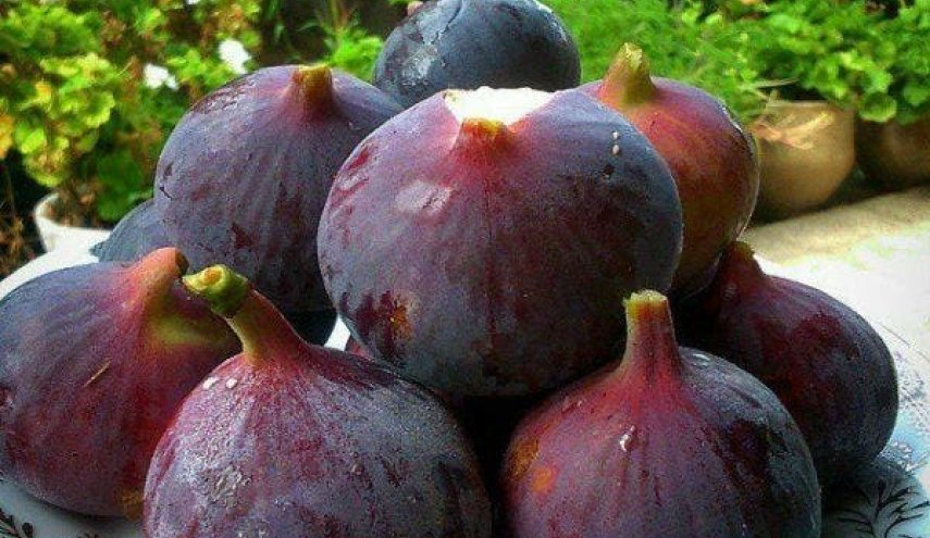 أطعمة تساعد في الحفاظ على شباب البشرة ونضارة الجلد