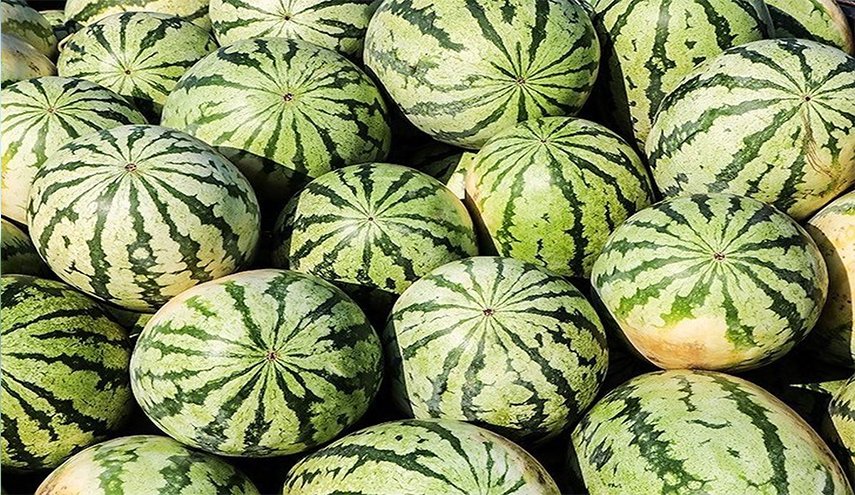 تناولو البطيخ بحذر لهذه الاسباب