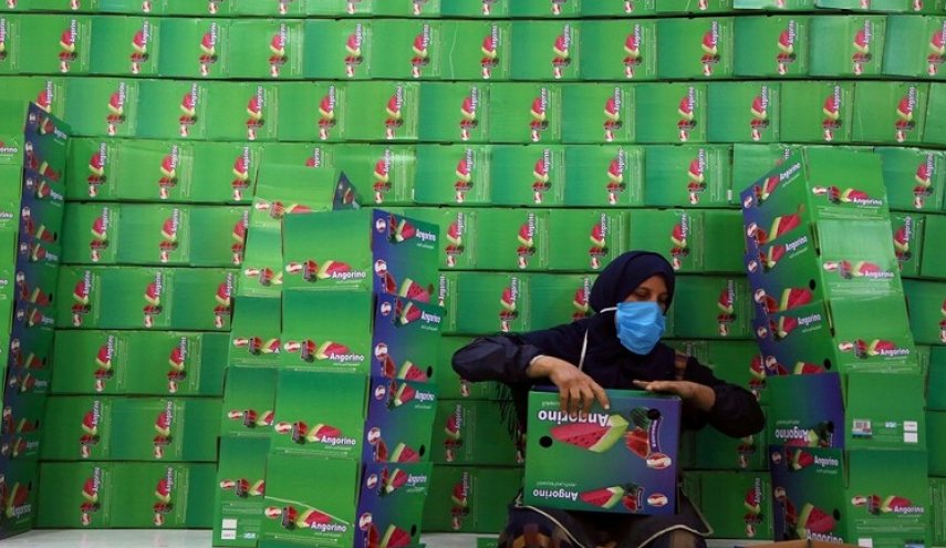 سوريا.. مزيد من الوفيات والإصابات بكورونا