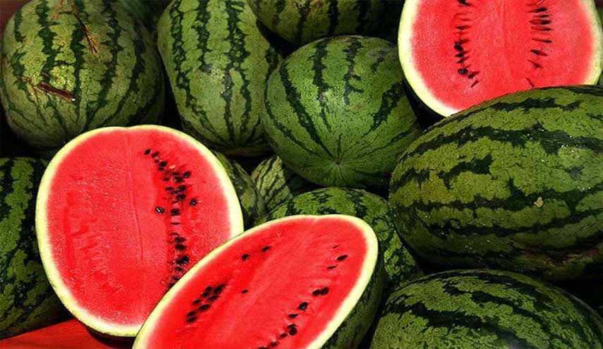 هولاء عليهم تجنب الإفراط بتناول البطيخ الأحمر