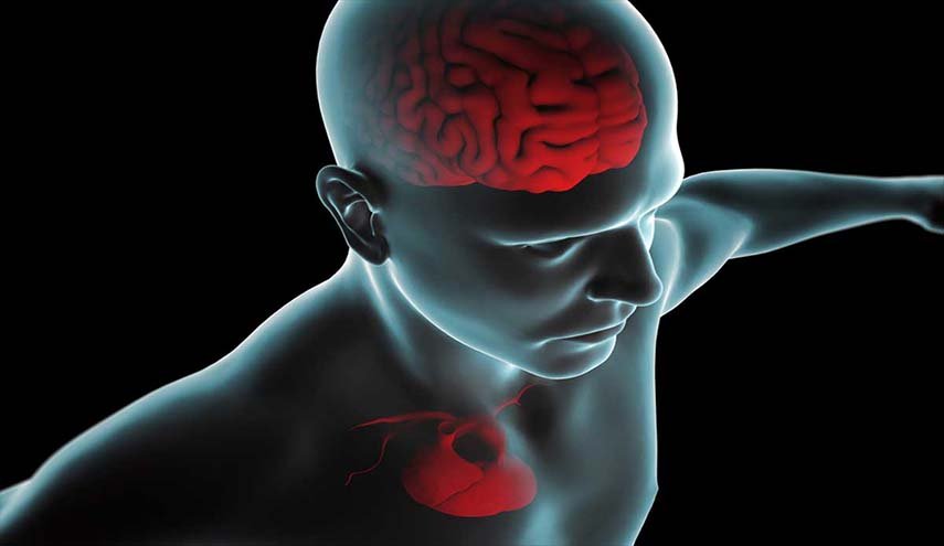 حافظ على سلامة قلبك ودماغك بهذه الطريقة السهلة