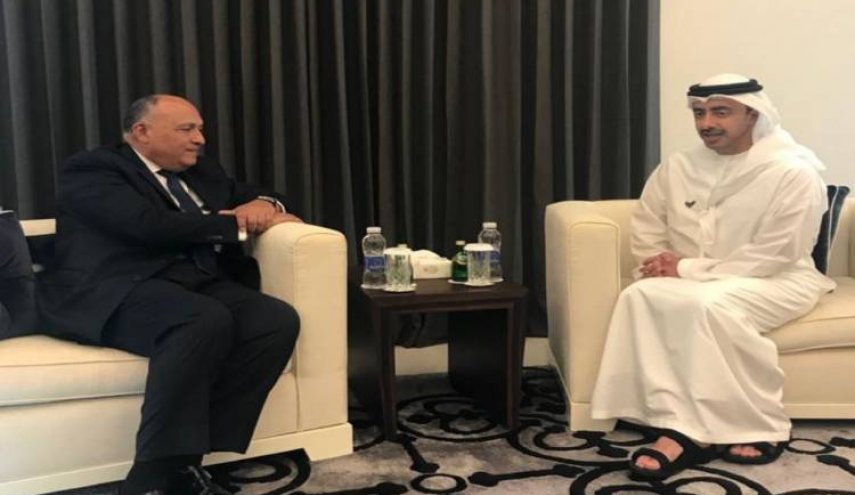 اتصال بين وزيري الخارجية الاماراتي ومصري لبحث اوضاع شرق المتوسط
