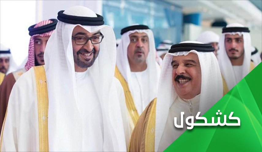أبناء زايد وأبناء خليفة و