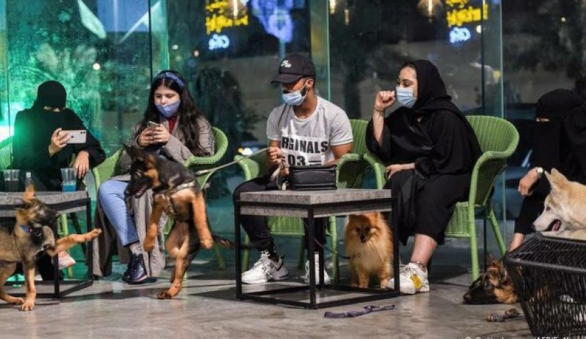 مقهى لعشاق الكلاب في السعودية!