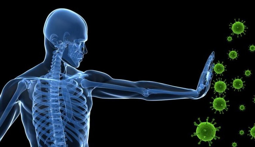 مع تفشي كورونا والإنفلونزا.. عززوا مناعتكم بهذه الأطعمة