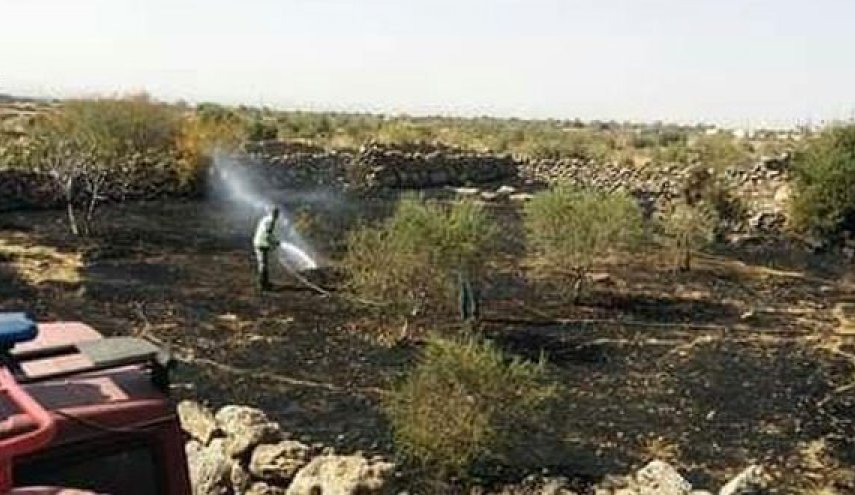 سوريا تنجح في إخماد جميع حرائق طرطوس والسويداء