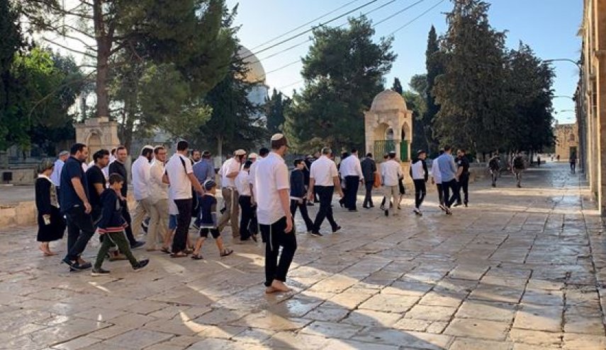 373 مستوطنًا اقتحموا الأقصى خلال عيد 'العرش'