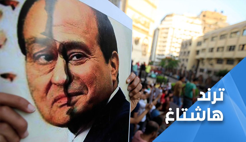الشعب المصري يصف السيسي بالبومة