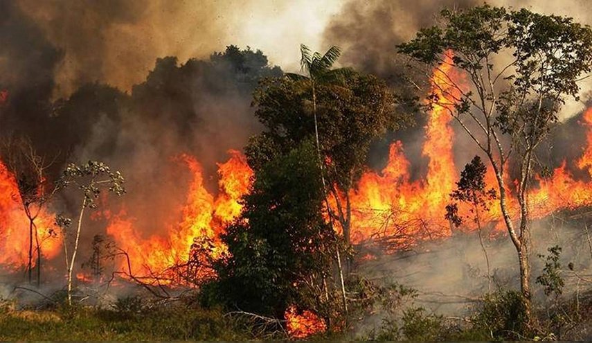 إخماد 8 حرائق في محافظة درعا