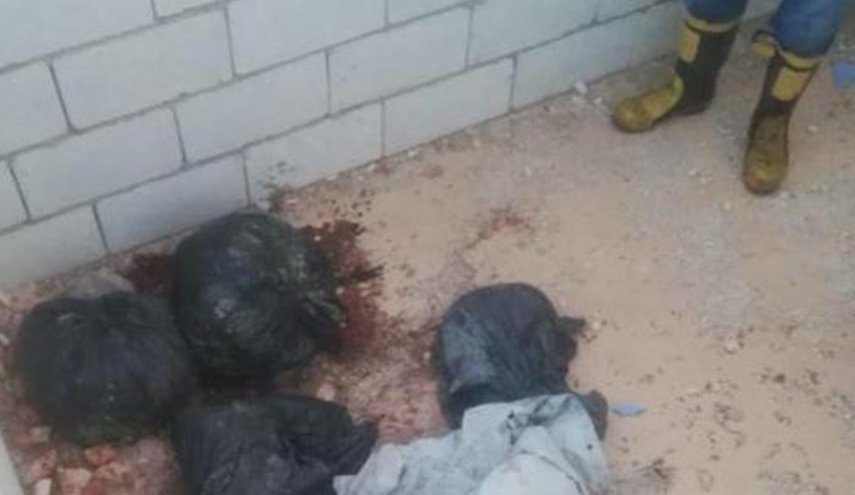 كشف ملابسات جريمة قتل مروعة في لبنان