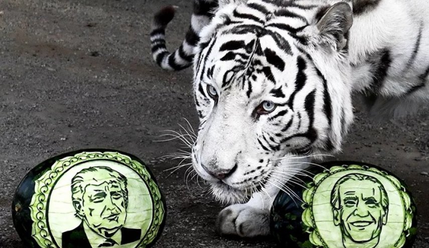 روسيا 'تتدخل' بالانتخابات الأمريكية بهذه الطريقة!